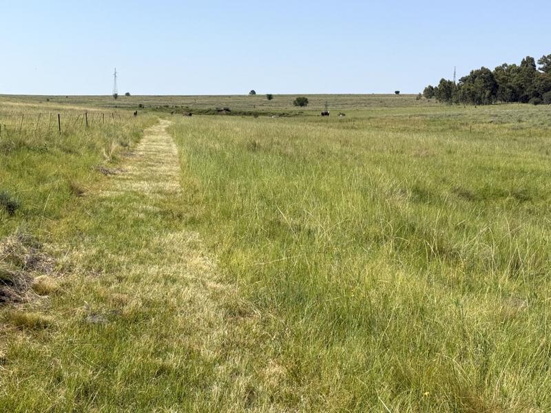 0 Bedroom Property for Sale in Bethlehem Rural Free State